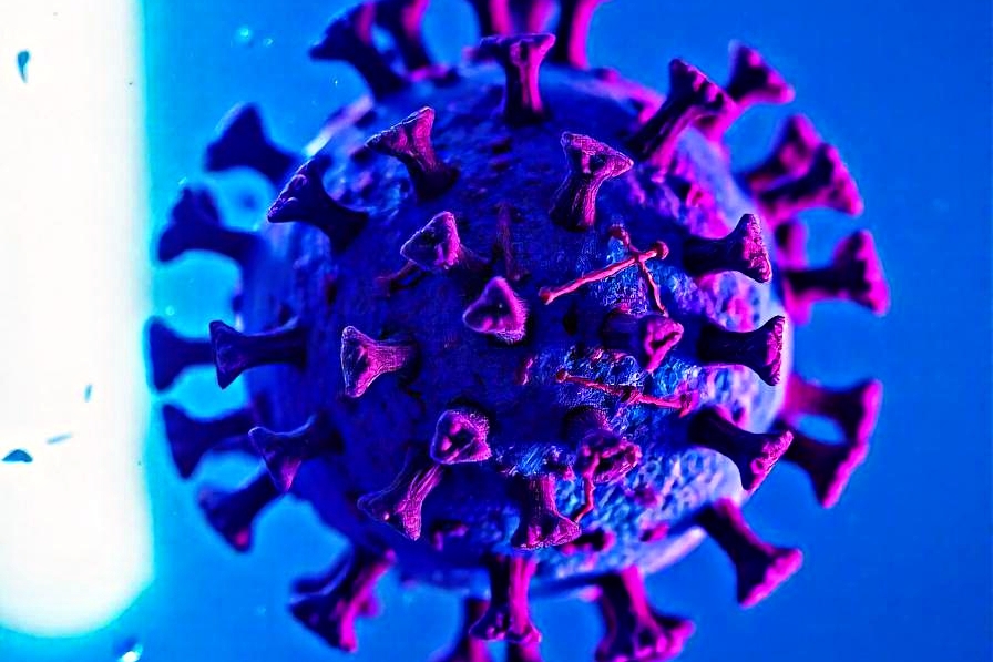 Cold Virus